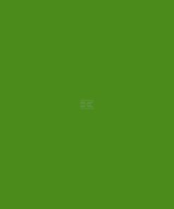Pintura para FLIEGL, verde, 1L