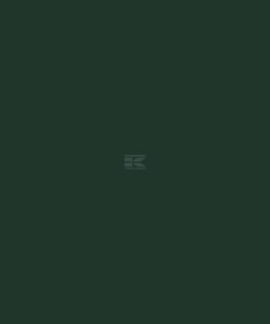 Pintura para N/T Hayter, verde, 5L