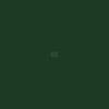 Pintura para GOLDONI, verde, 1L 12 Pintura para GOLDONI, verde, 1L