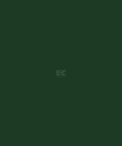Pintura para GOLDONI, verde, 1L