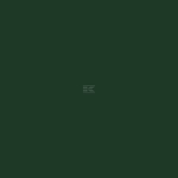 Pintura para GOLDONI, verde, 1L