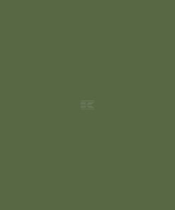 Pintura para NODET, verde, 1L