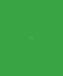 Pintura para TECNOMA, color verde, 1 L