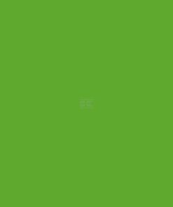 Fendt color verde naturaleza 400 ml