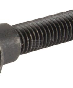 Tornillo M5x31