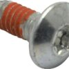 Tornillo