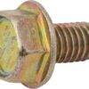 Screw
