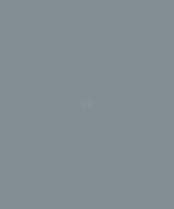 Pintura RAL 7000, gris ardilla, 1L, Kramp