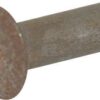 Rivet