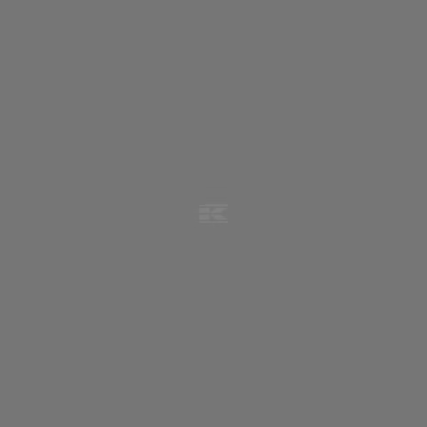 Pintura RAL 7005, gris ratón, 1L, Kramp