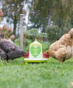 Comedero 2,4 l / 2 kg verde