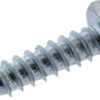 Scew St4,8X19 -C-Torx 7981 A2K