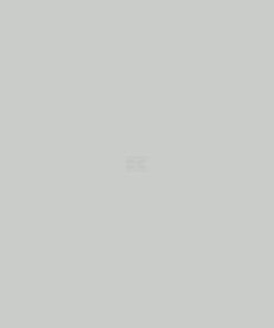 Pintura, gris claro RAL 7035, 1 L