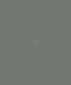 Pintura para DEUTZ-FAHR serie 06 hasta 1975, color gris, 1 L