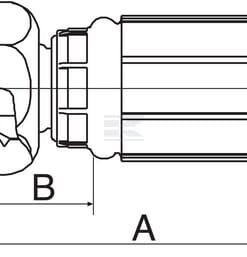 Racor pres. DN10-1/2 BSP