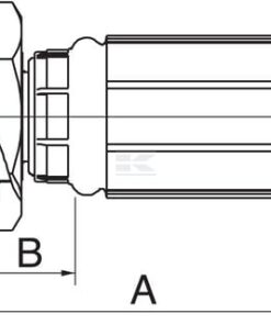 Racor pres. DN10-1/2" BSP