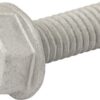 Tornillo