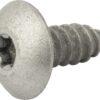 Tornillo para roscar 2 Tornillo para roscar