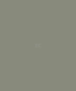 Pintura para FENDT, color gris chasis, 1 L