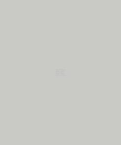 Pintura para FORD, color gris niebla, 1 L