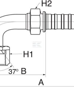 Racor pres. 90° DN13-7/8JIC