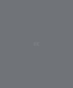 Pintura para WELGER, color gris, 1 L