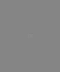 Pintura para MASSEY FERGUSON, gris humo, 5L
