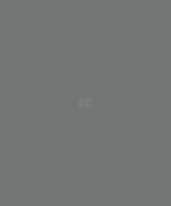 Pintura para MASSEY FERGUSON, gris vintage, 1L