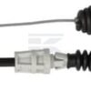 Cable