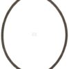 Correa trapezoidal