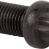 Tornillo