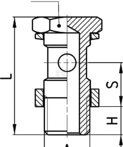 Tornillo hueco sen.