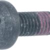 Tornillo