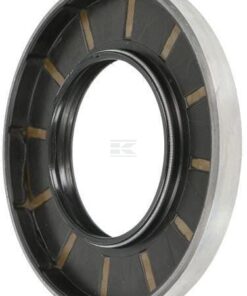 Seal B1SLSFDRW 65x120x12 71ACM