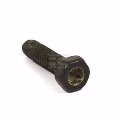 Tornillo 1 Tornillo