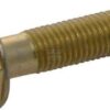 Tornillo