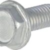 Screw