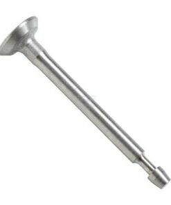 Intake valve