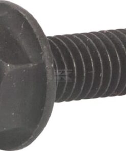 Screw