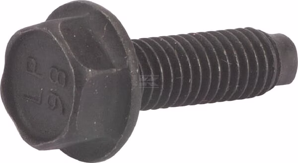 Screw 1 Screw
