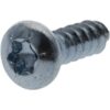 Tornillo autorroscante Torx 2.9x9.5 mm