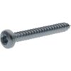 Tornillo autorroscante Torx 3.9x38 mm