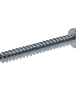 Tornillo autorroscante Torx 3.9x38 mm