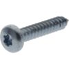 Tornillo autorroscante Torx 5.5x32 mm