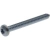 Tornillo autorroscante Torx 5.5x50 mm