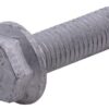 Tornillo autob. dentado debajo 4 Tornillo autob. dentado debajo