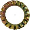 Anillo