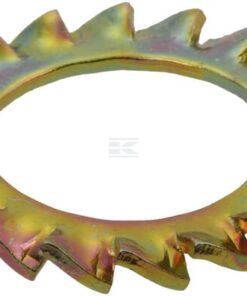 Anillo