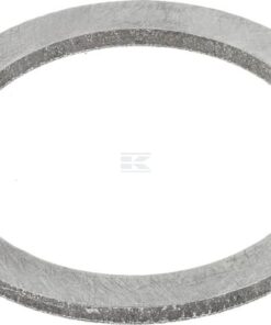 Anillo de apoyo
