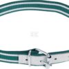 Collar de nylon para terneros 85 x 4 cm 5 Collar de nylon para terneros 85 x 4 cm